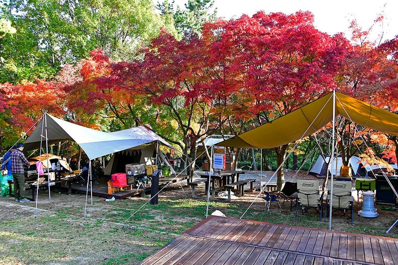 월출산국립공원 천황야영장 시설 사진 12