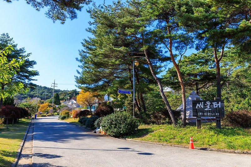 세울터 오토캠핑장 & 펜션 시설 사진 27