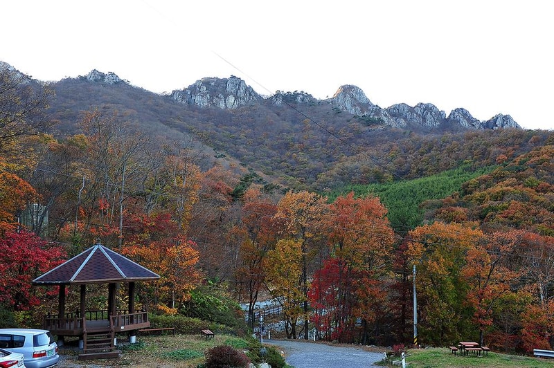 팔영산 자연휴양림 야영장 시설 사진 10