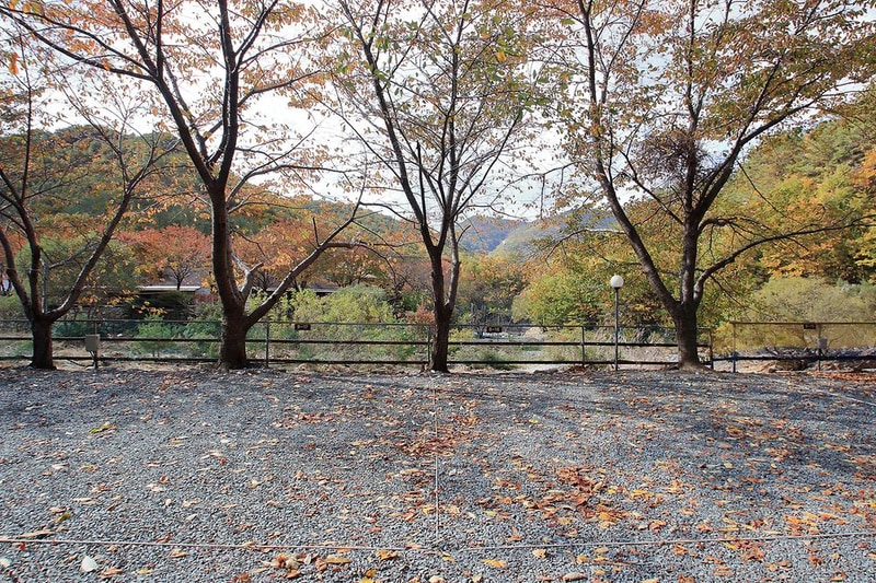 그린하우스캠핑장 시설 사진 15