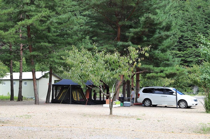 삼척엘림캠핑장 시설 사진 23