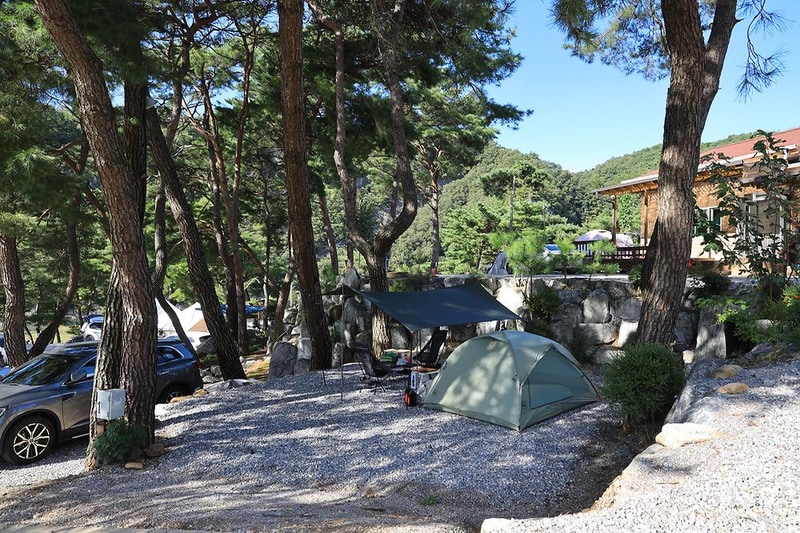영월한반도캠핑장 시설 사진 11