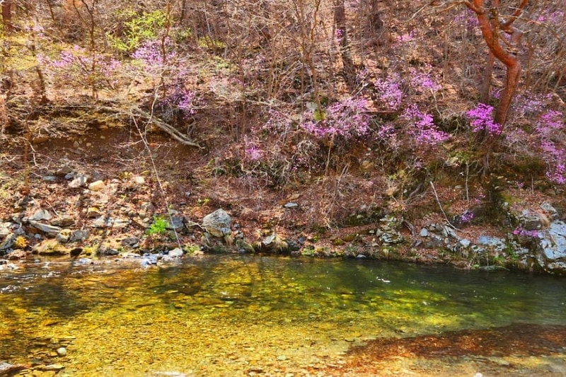 또바기캠핑장 시설 사진 11