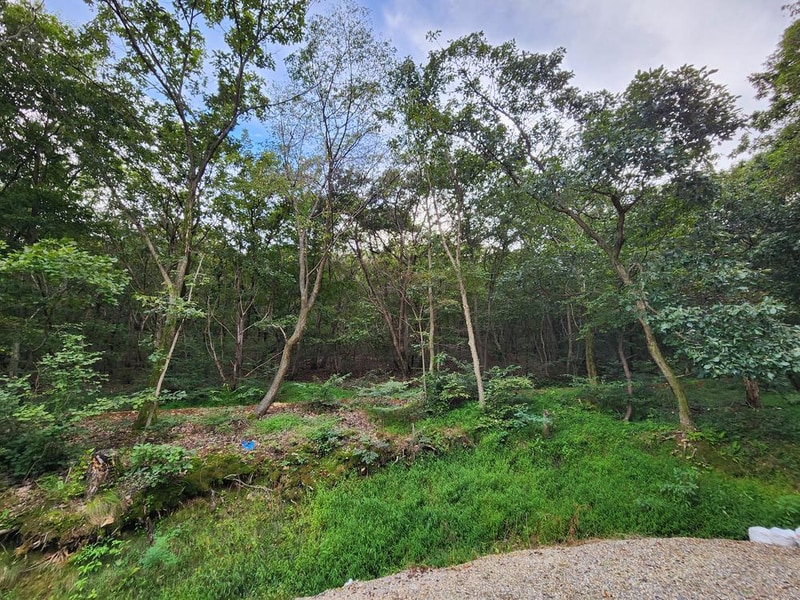 파주 옥돌캠핑장 시설 사진 20