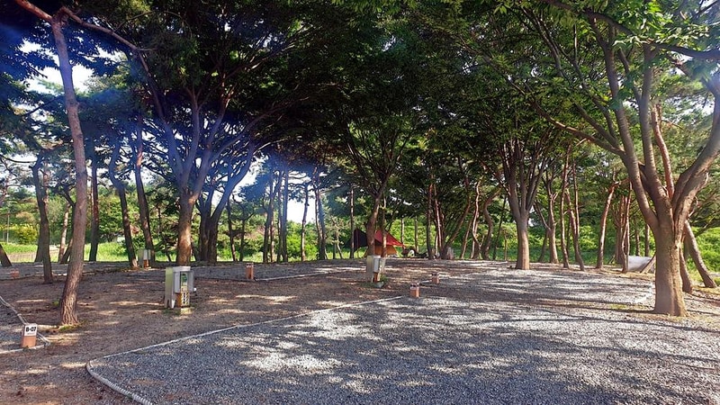 소풍정원 캠핑장 시설 사진 33