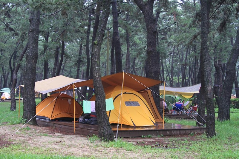 연곡해변 솔향기캠핑장 시설 사진 6