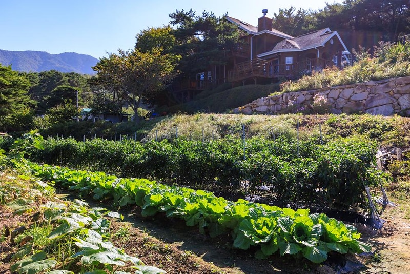 초롱별 야영장 시설 사진 8