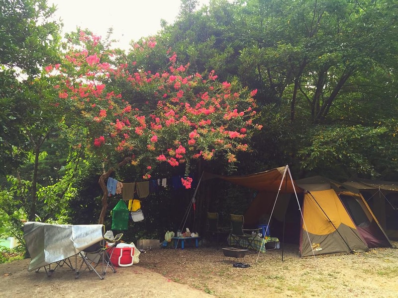 섬지캠핑장 시설 사진 26