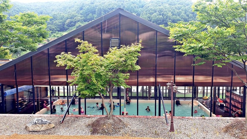 원더 포레스트 시설 사진 25