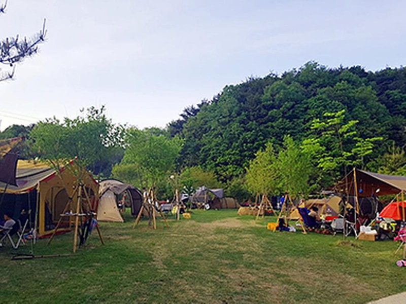 달자캠핑장 시설 사진 10