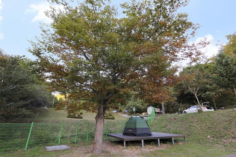 계명산자연휴양림 야영장 시설 사진 13