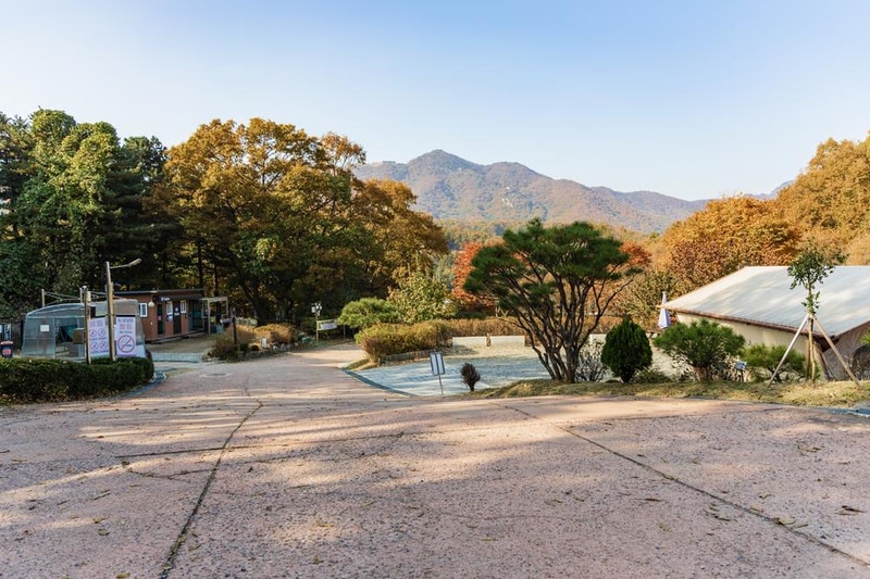 초막골생태공원 느티나무야영장 시설 사진 56