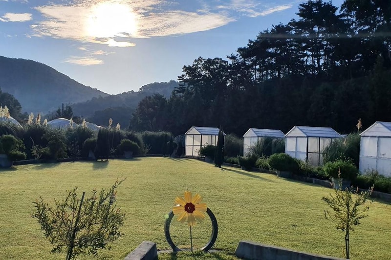 더힐링식물원 야영장 시설 사진 18