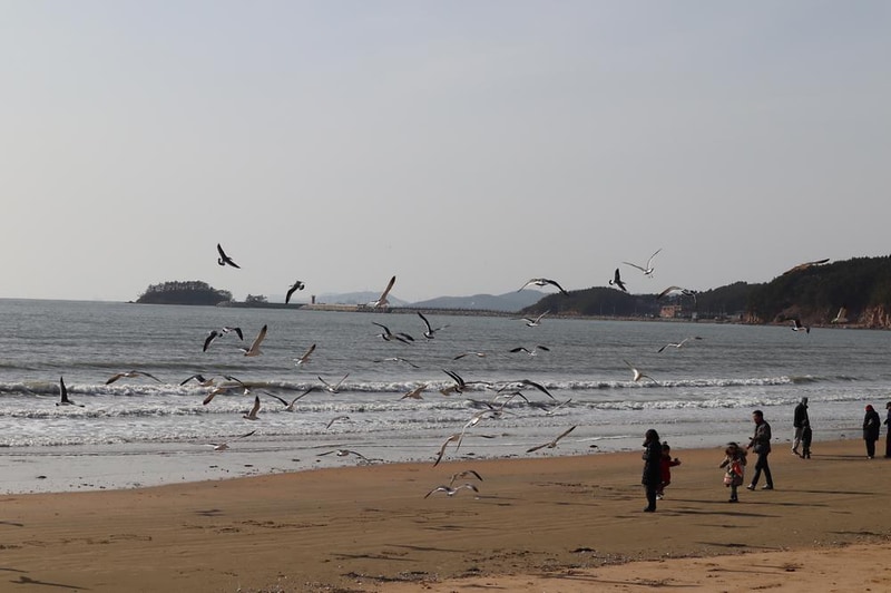 몽산포오토캠핑장 2구역 시설 사진 19