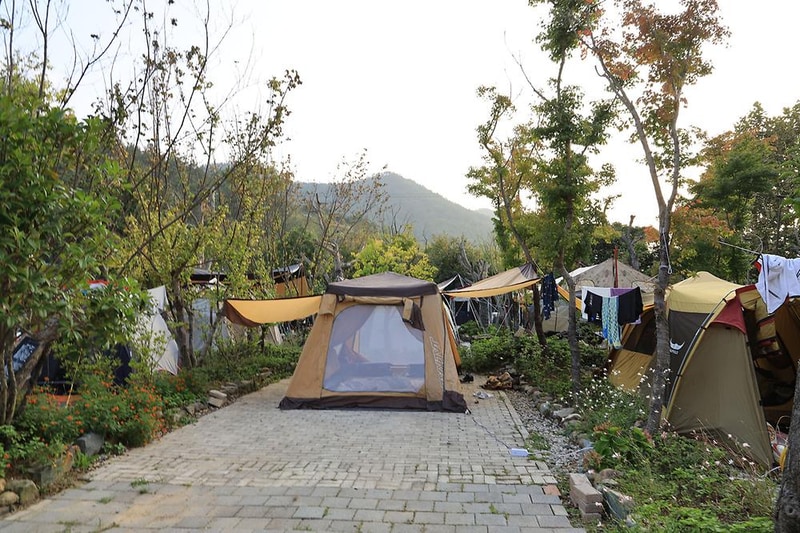 버드하우스 캠핑장 시설 사진 32