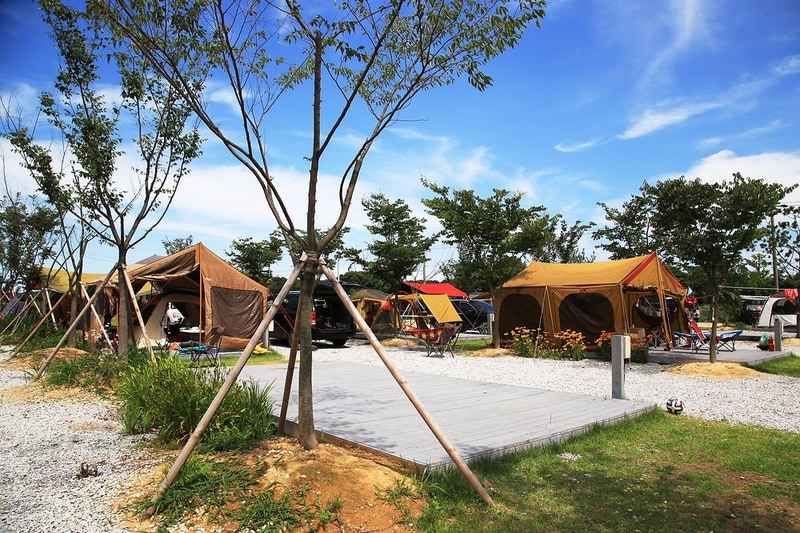 강화고인돌 캠핑장 시설 사진 24