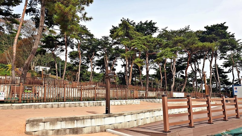 교룡공원 숲속야영장 시설 사진 16