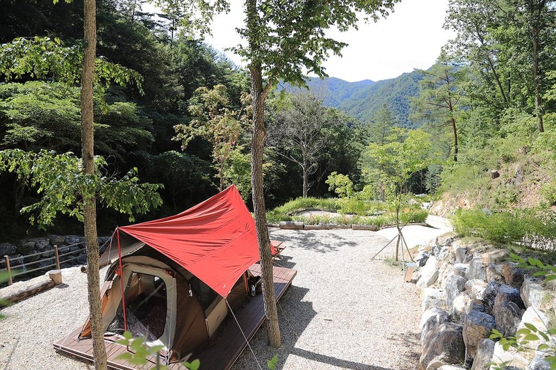 하추자연휴양림 야영장 시설 사진 7