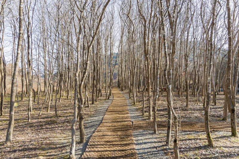 가야산오토캠핑장 시설 사진 10