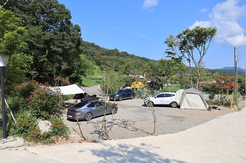 연꽃자리캠핑타운