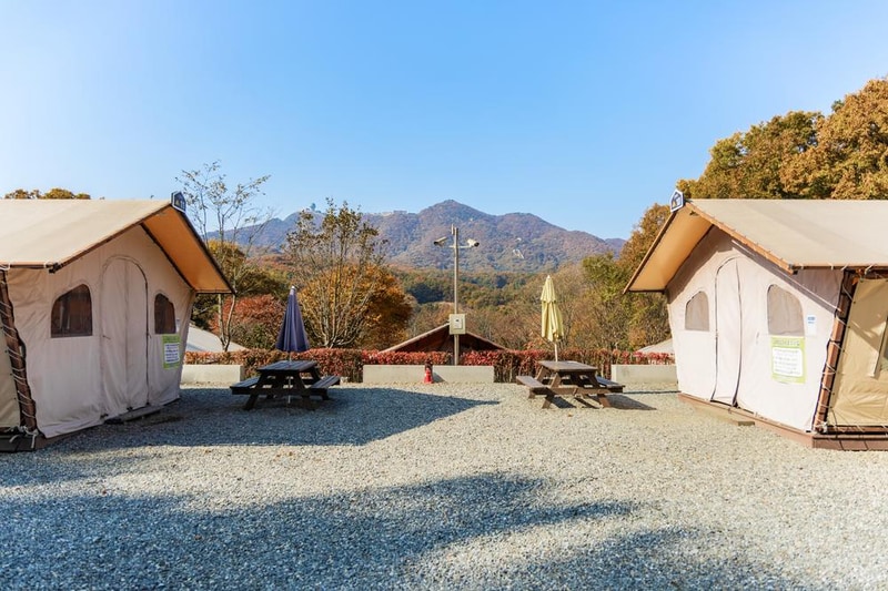 초막골생태공원 느티나무야영장 시설 사진 77