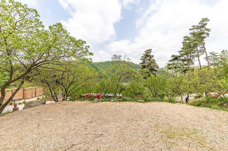 마로니에숲 캠핑장 시설 사진 1