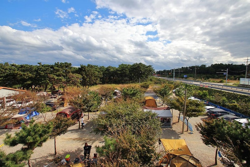 그린오토캠핑장 시설 사진 8