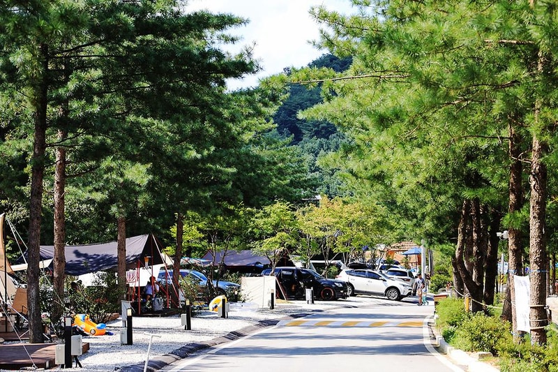 산정호수 돌고래 캠핑장 시설 사진 3