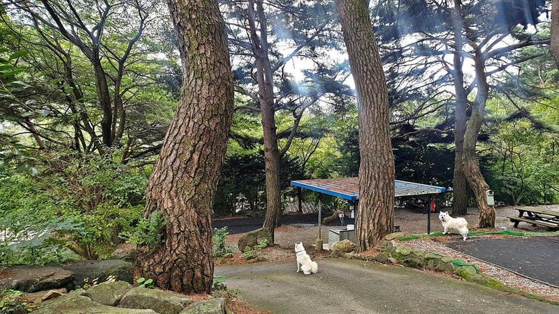 각화산캠핑장 시설 사진 9