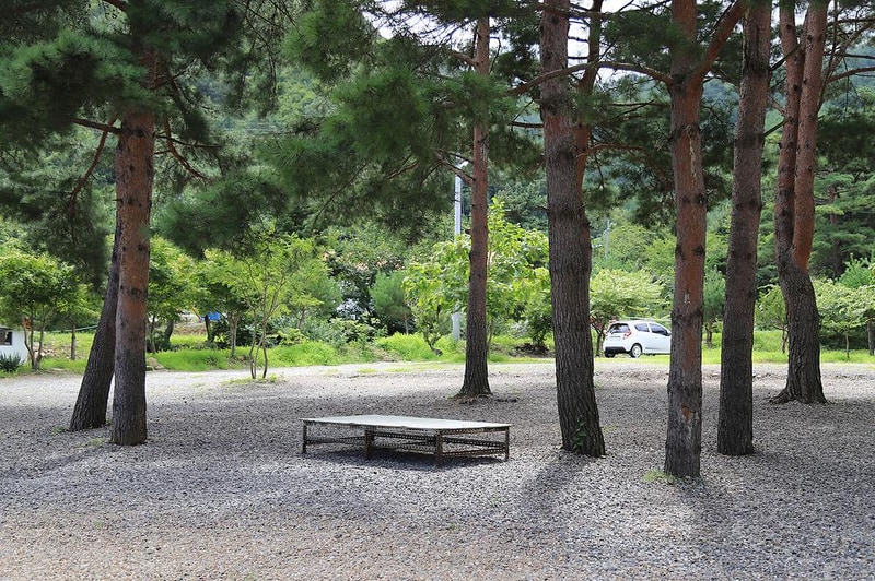 삼척엘림캠핑장 시설 사진 17