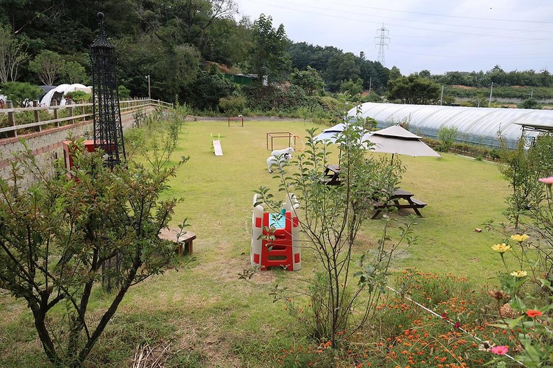 젤코바 캠핑장 시설 사진 16