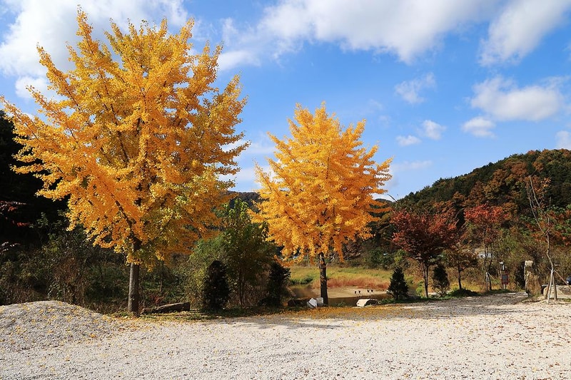 포천그린별캠핑장 시설 사진 3