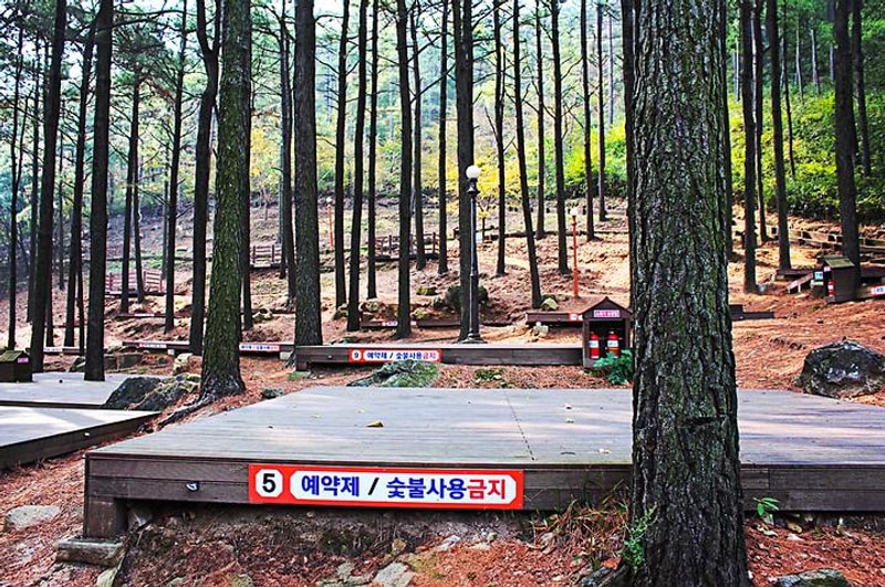 제암산자연휴양림 야영장