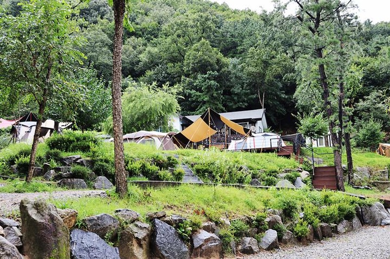 용인 자연숲 캠핑장