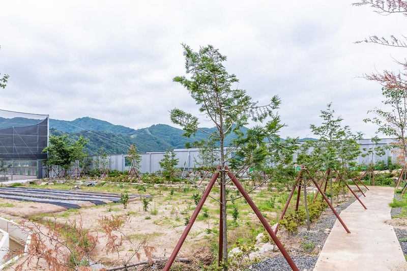 봄날처럼 시설 사진 2