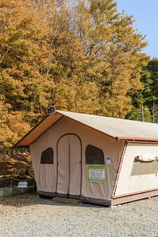 초막골생태공원 느티나무야영장 시설 사진 46