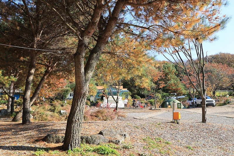 라곰 시설 사진 8