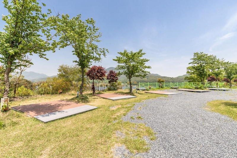 진달래 관광농원 캠핑장 시설 사진 8