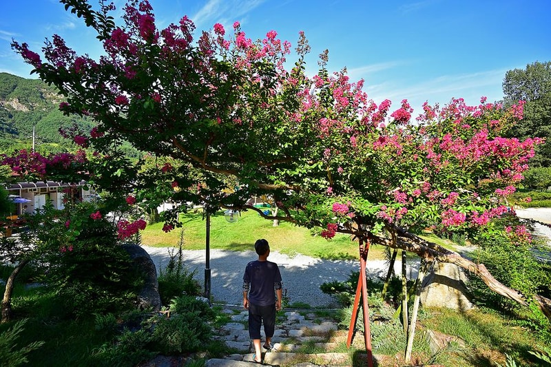 합천휴테마파크 시설 사진 1