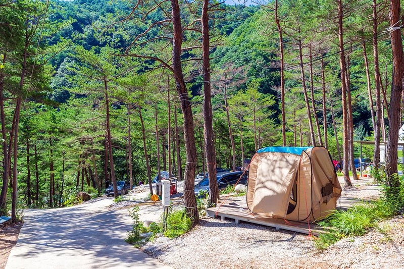 왕피천 숲속 캠핑장 시설 사진 8