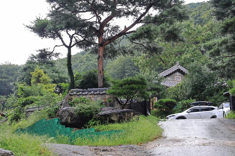 용인 자연숲 캠핑장 시설 사진 18