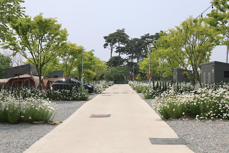 해미 모꼬지 캠핑장 시설 사진 6