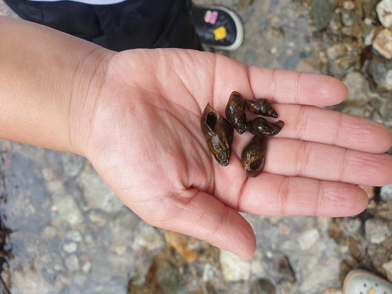 우리들캠핑장 시설 사진 17