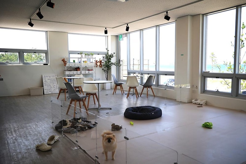 자작도캠핑장 시설 사진 13