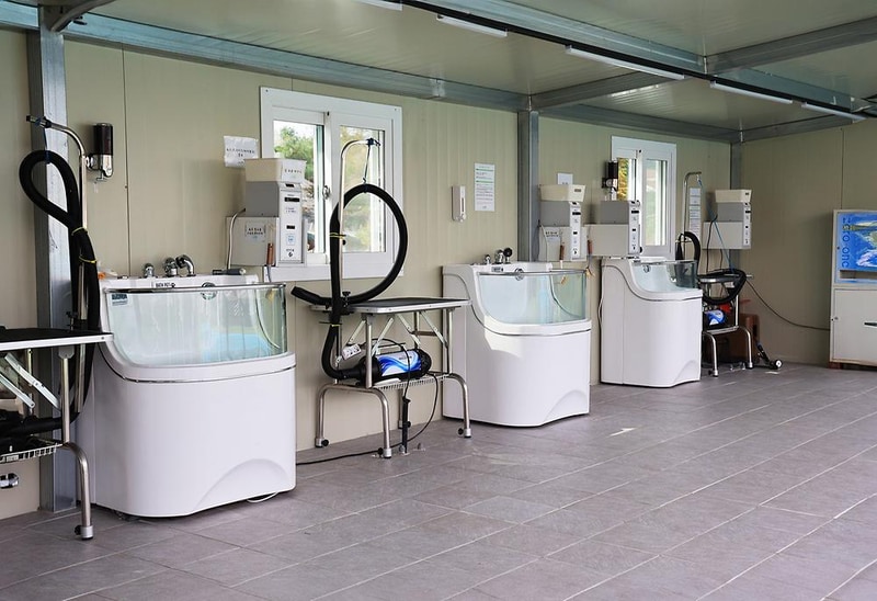 아워 포레스트 시설 사진 21