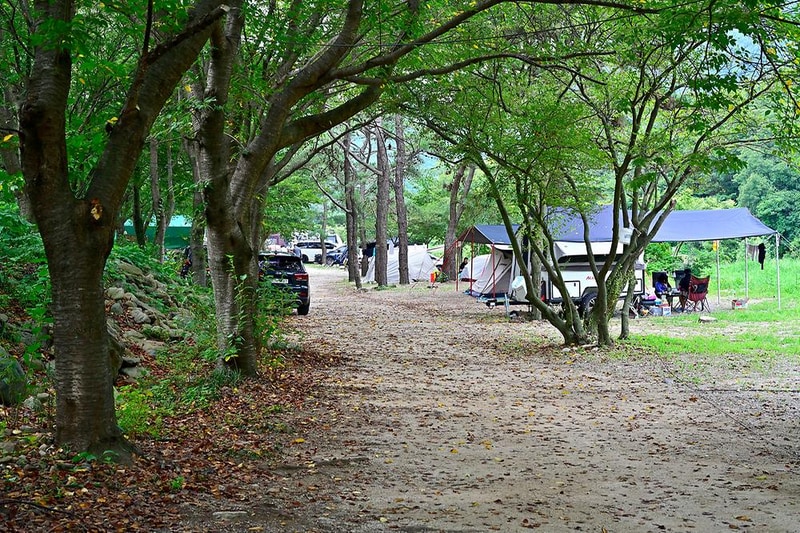 라라캠핑장 시설 사진 12