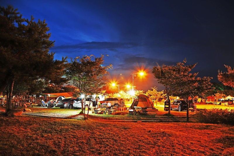 송지호 오토 캠핑장 시설 사진 4