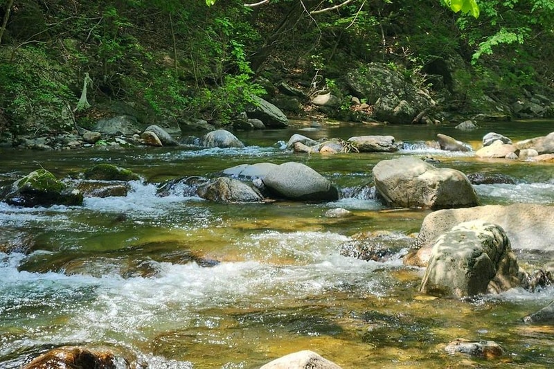 208덕동 캠핑장 시설 사진 7