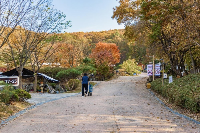 초막골생태공원 느티나무야영장 시설 사진 29