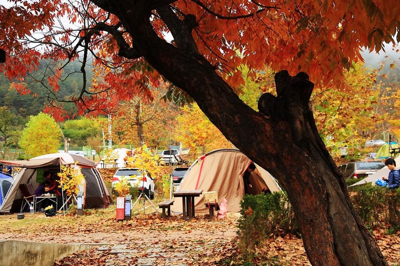 주왕산국립공원 상의자동차 야영장 시설 사진 4